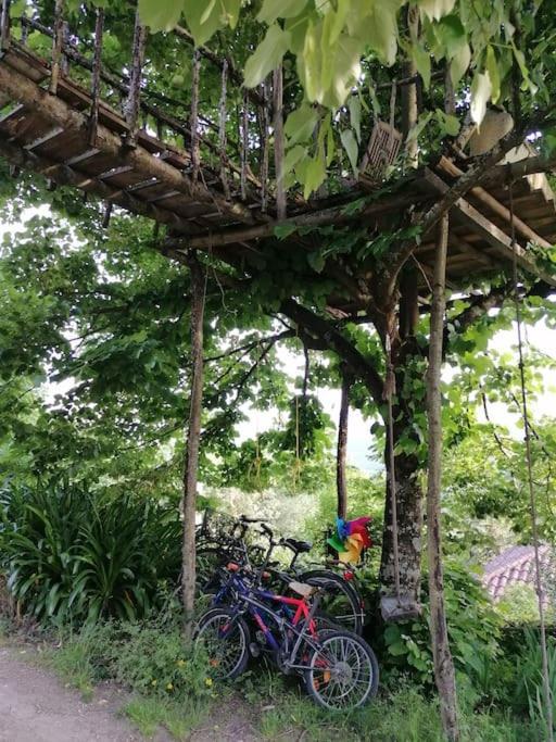 Country House - Hippie Garden Vieira do Minho Exterior foto